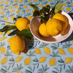 Mantel impermeable Limones